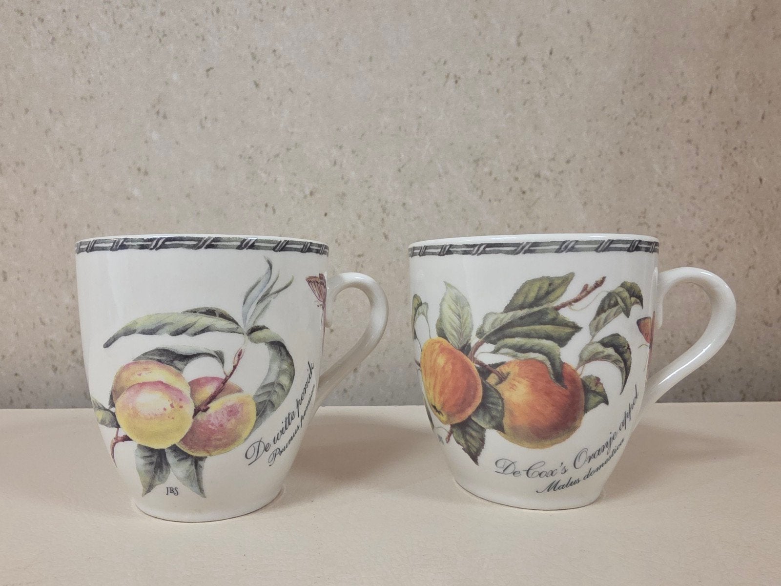 JBS Janneke Brinkman Salentijn koffiebekers Botania, Ophalen of Verzenden, Zo goed als nieuw, Overige stijlen, Kop(pen) en/of Schotel(s)
