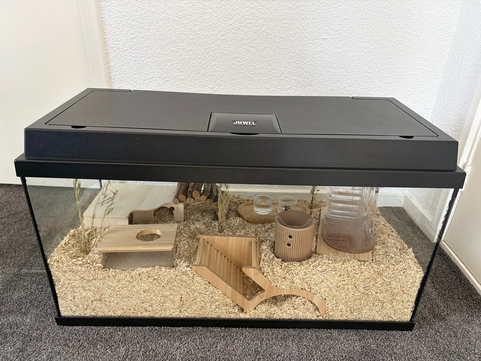 Hamster inclusief hamsterkooi, Dieren en Toebehoren, Hamster, December, Vrouwelijk, Tam