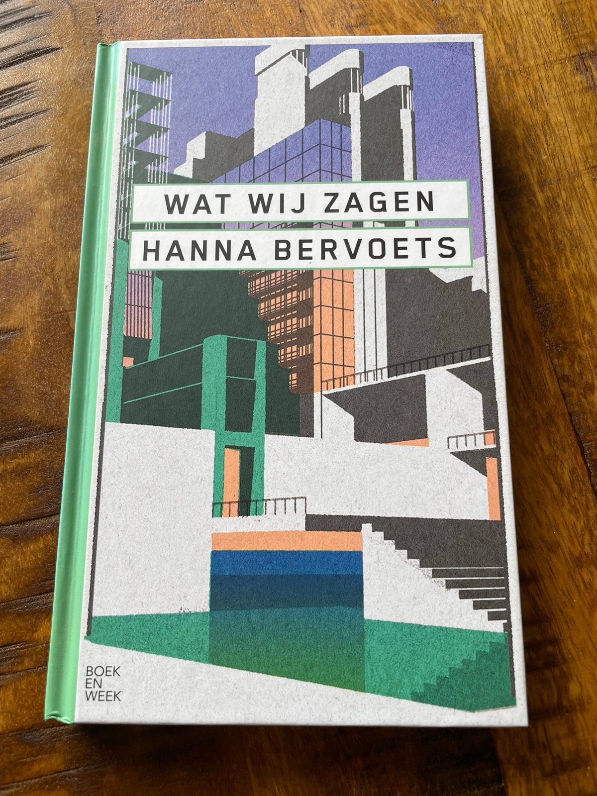 Wat Wij Zagen - Hanna Bervoets, Ophalen of Verzenden, Zo goed als nieuw, Nederland