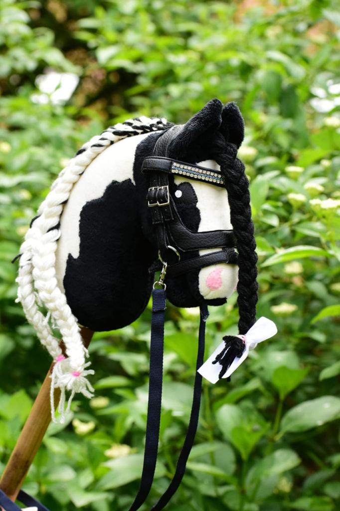 Hobby horse stardust, Hobby en Vrije tijd, Overige Hobby en Vrije tijd, Ophalen of Verzenden, Zo goed als nieuw