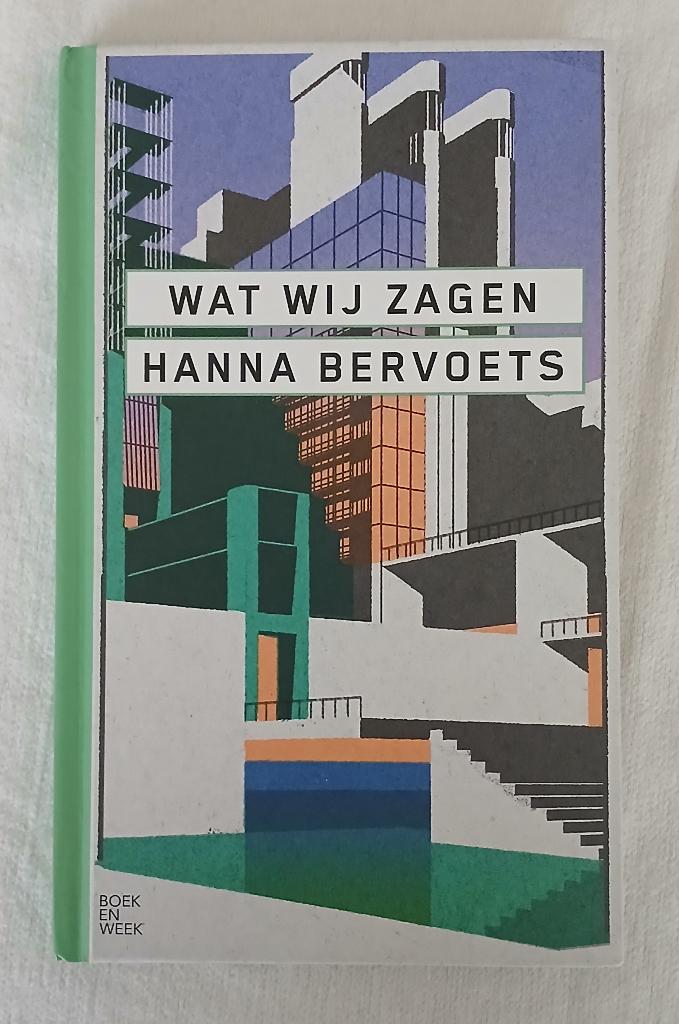 Wat wij zagen. Hanna Bervoets, Boeken, Ophalen of Verzenden, Gelezen
