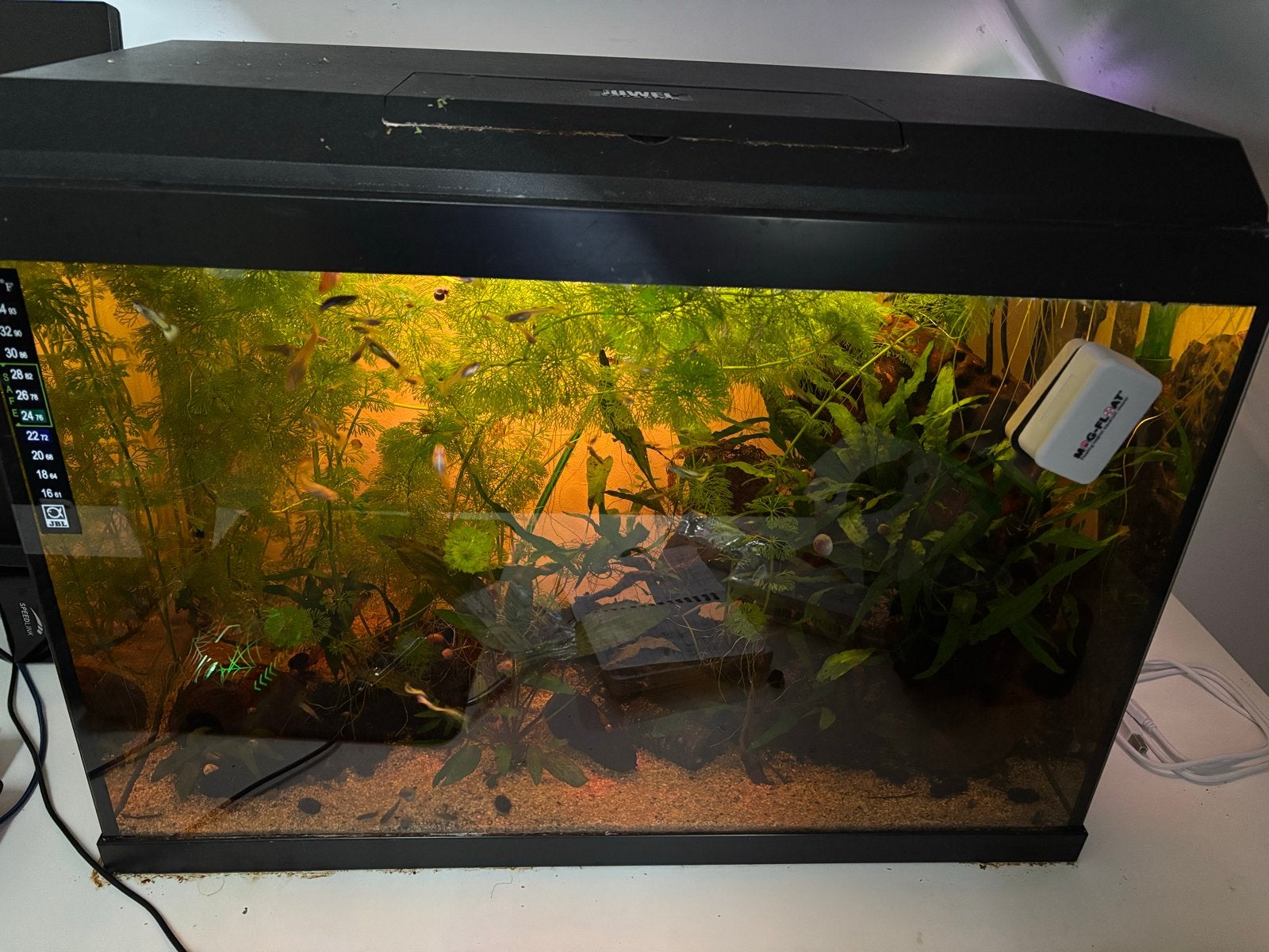 Juwel aquarium 70 liter, Ophalen, Gebruikt, Inclusief deksel, Leeg aquarium