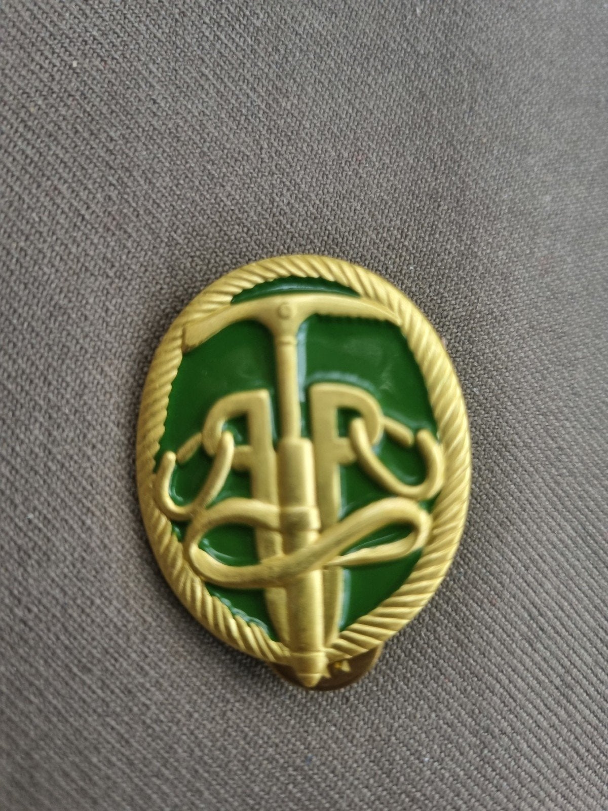 Pinspeld Instructeur werken op hoogte, Ophalen of Verzenden, Landmacht, Nederland, Embleem of Badge