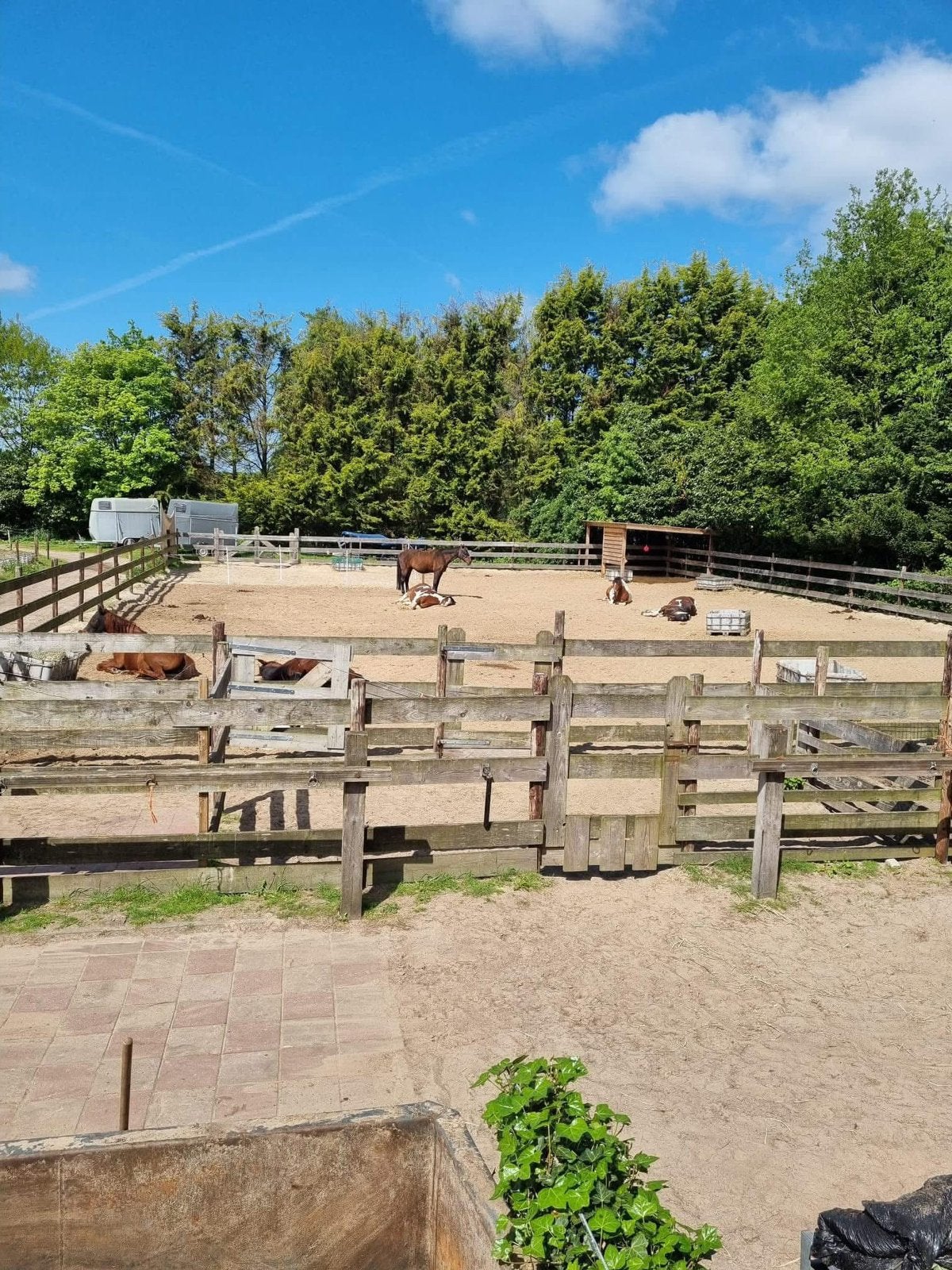 Een plek vrij voor een kleine pony, Stalling, 1 paard of pony