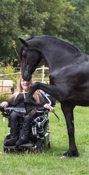 Paardengedragstherapeut aan huis, Gedragstraining