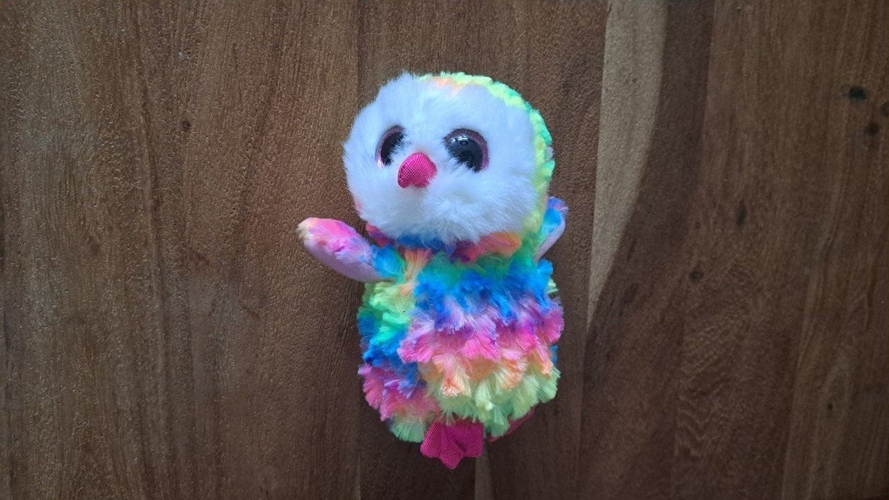 Ty Beanie Boo regenboog uil knuffel, Overige typen, Ophalen of Verzenden, Meerkleurig, Ty