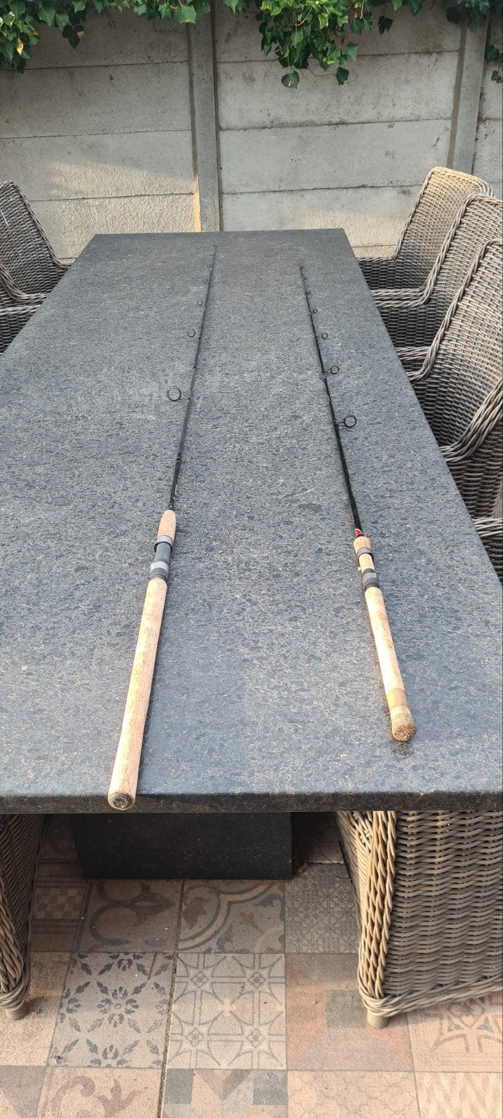 Roofvis hengels - Fox Rage LM Spin 240 & Abu Garcia Stealth, Ophalen, Gebruikt, Werphengel