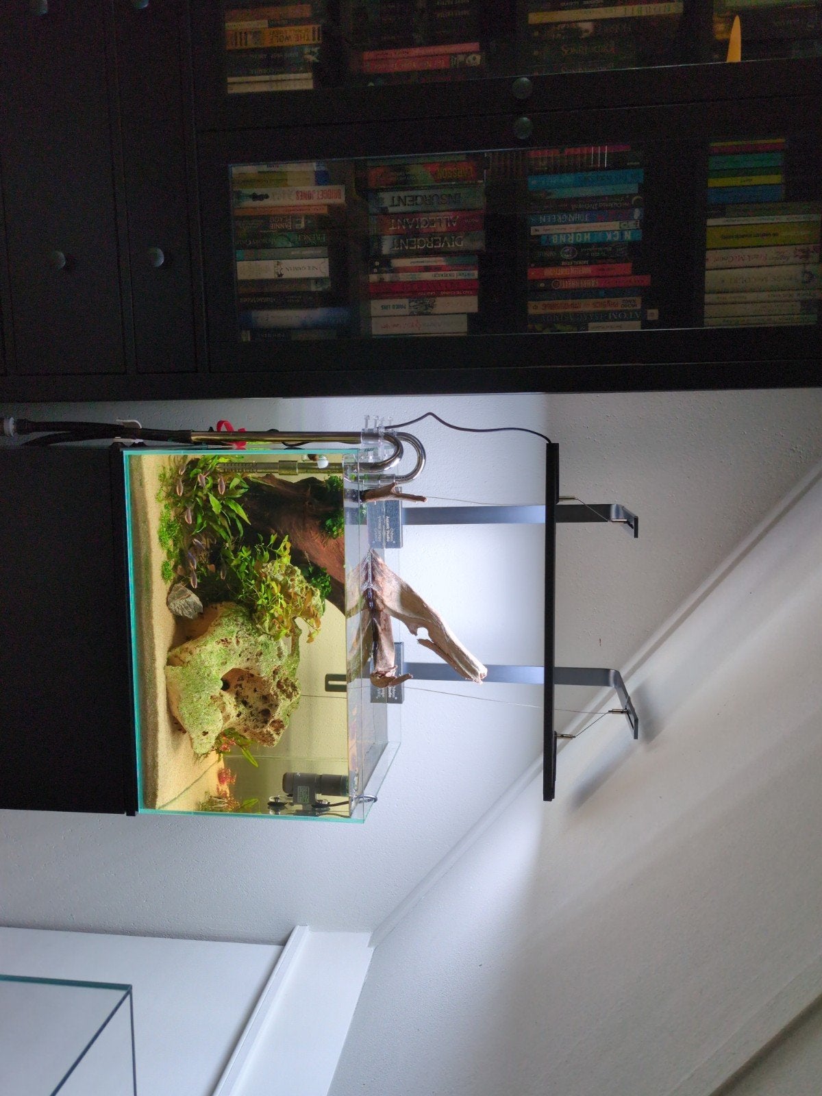 Superfish 90L + 70L aquaria compleet, Dieren en Toebehoren, Ophalen, Inclusief vissen, Overige typen, Overige merken