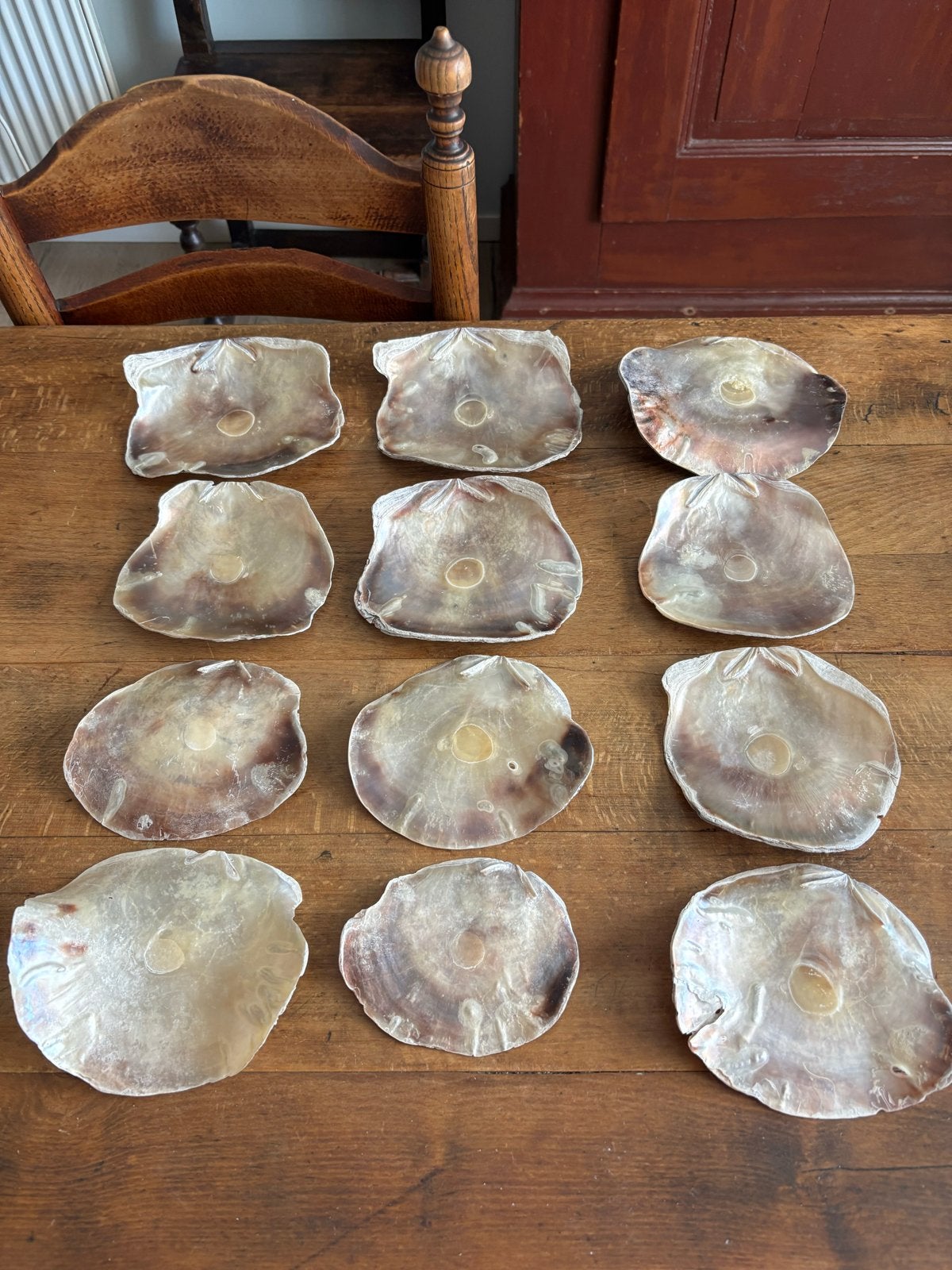 9 Parelmoeren Schelpen - Grootste 16 cm, Kleinste 12 cm, Ophalen of Verzenden, Gebruikt