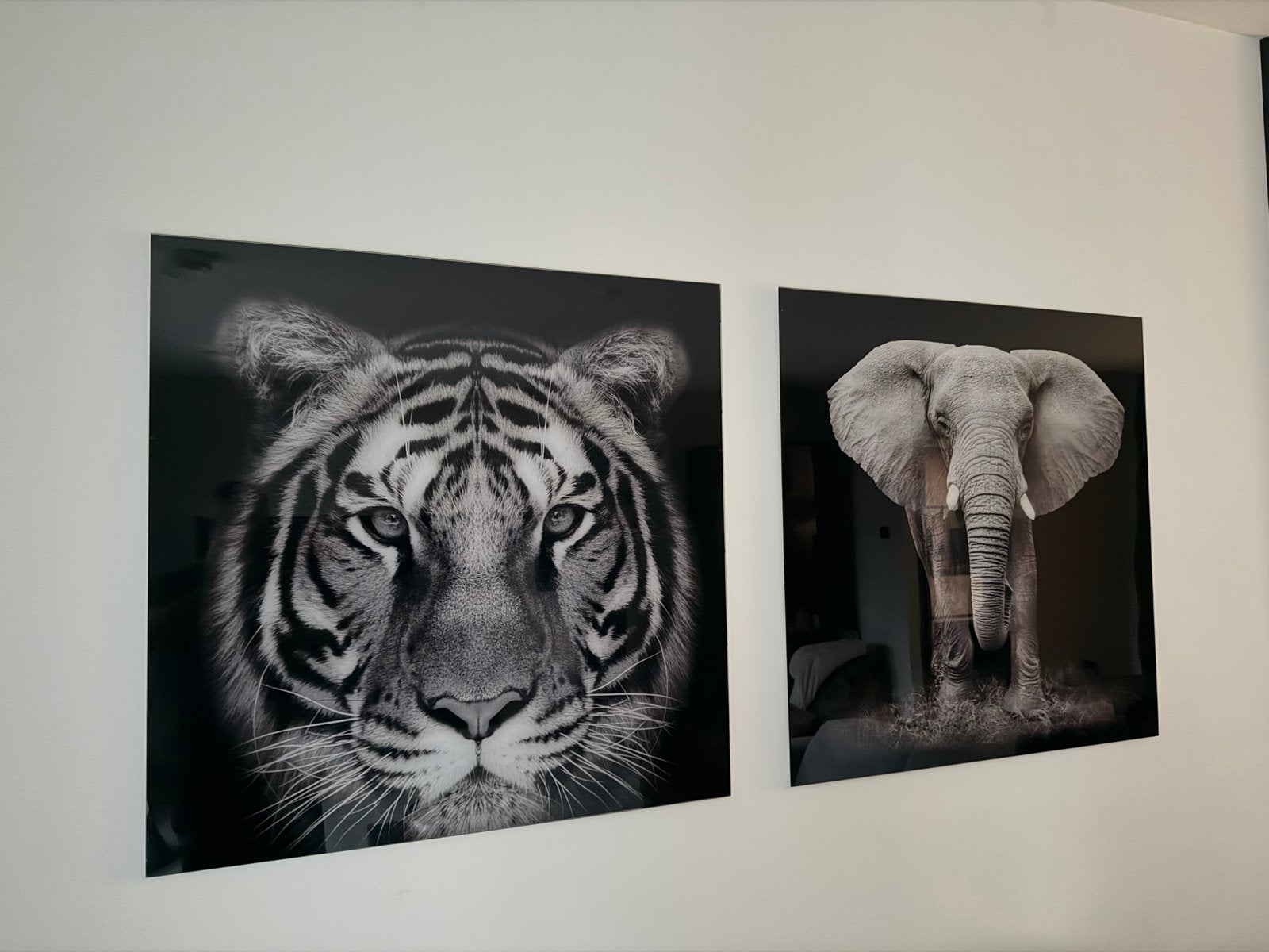 Set van 2 glazen schilderijen: Tijger en Olifant (zwart-wit), Realistisch, Overige ondergronden, Dieren, Print