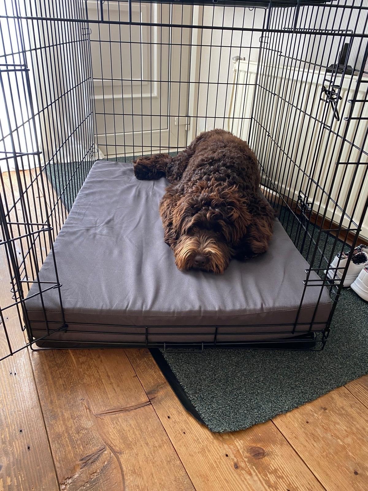 Hondenbench voor XL dogs 107x71, Ophalen, Gebruikt