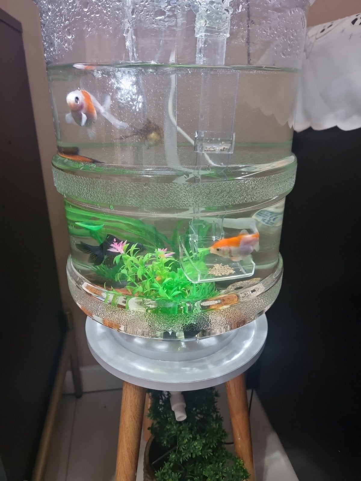 Aquarium met tafel., Ophalen
