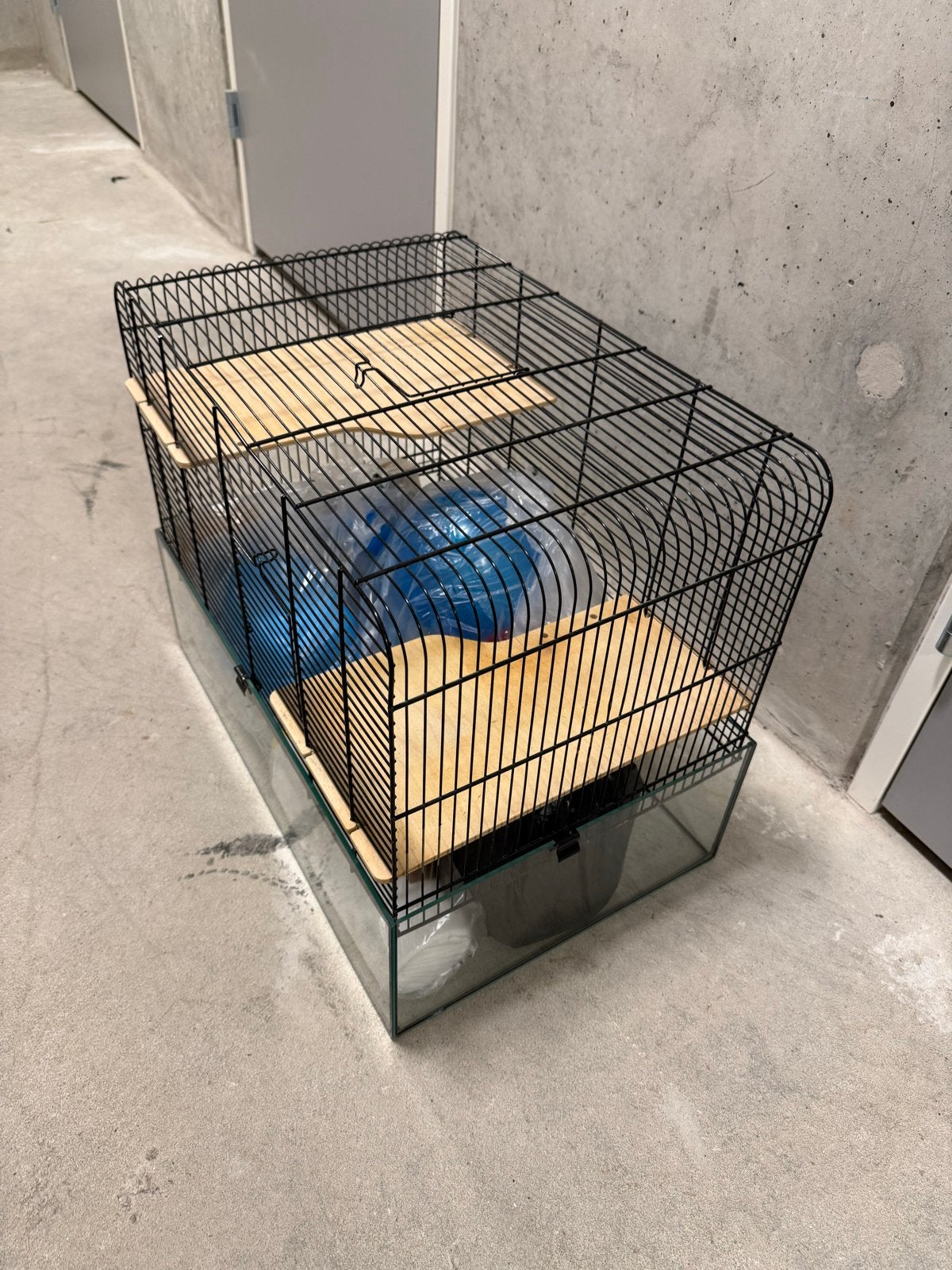Hamster kooi, Dieren en Toebehoren, Kooi, Minder dan 75 cm, Hamster, Ophalen
