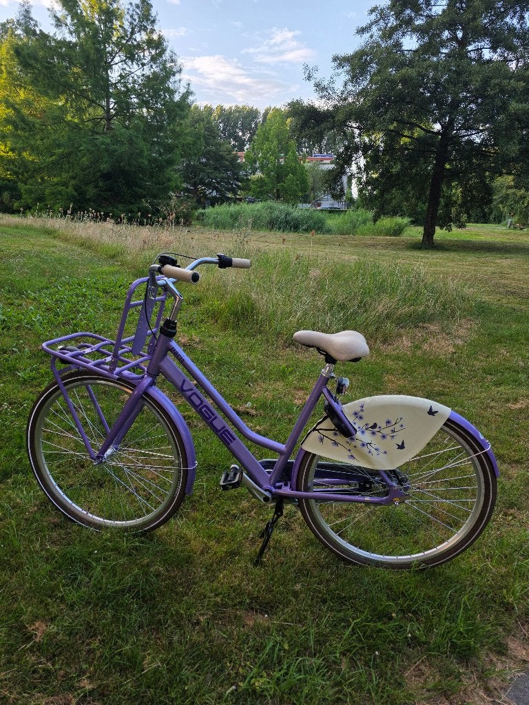 Transport fiets, Fietsen en Brommers, Versnellingen, Zo goed als nieuw, 50 tot 53 cm, Schijfrem