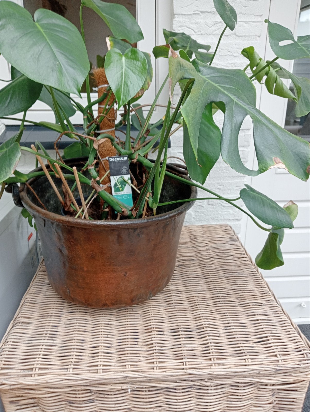 Antieke koperen pot/emmer - Decoratief en functioneel, Ophalen