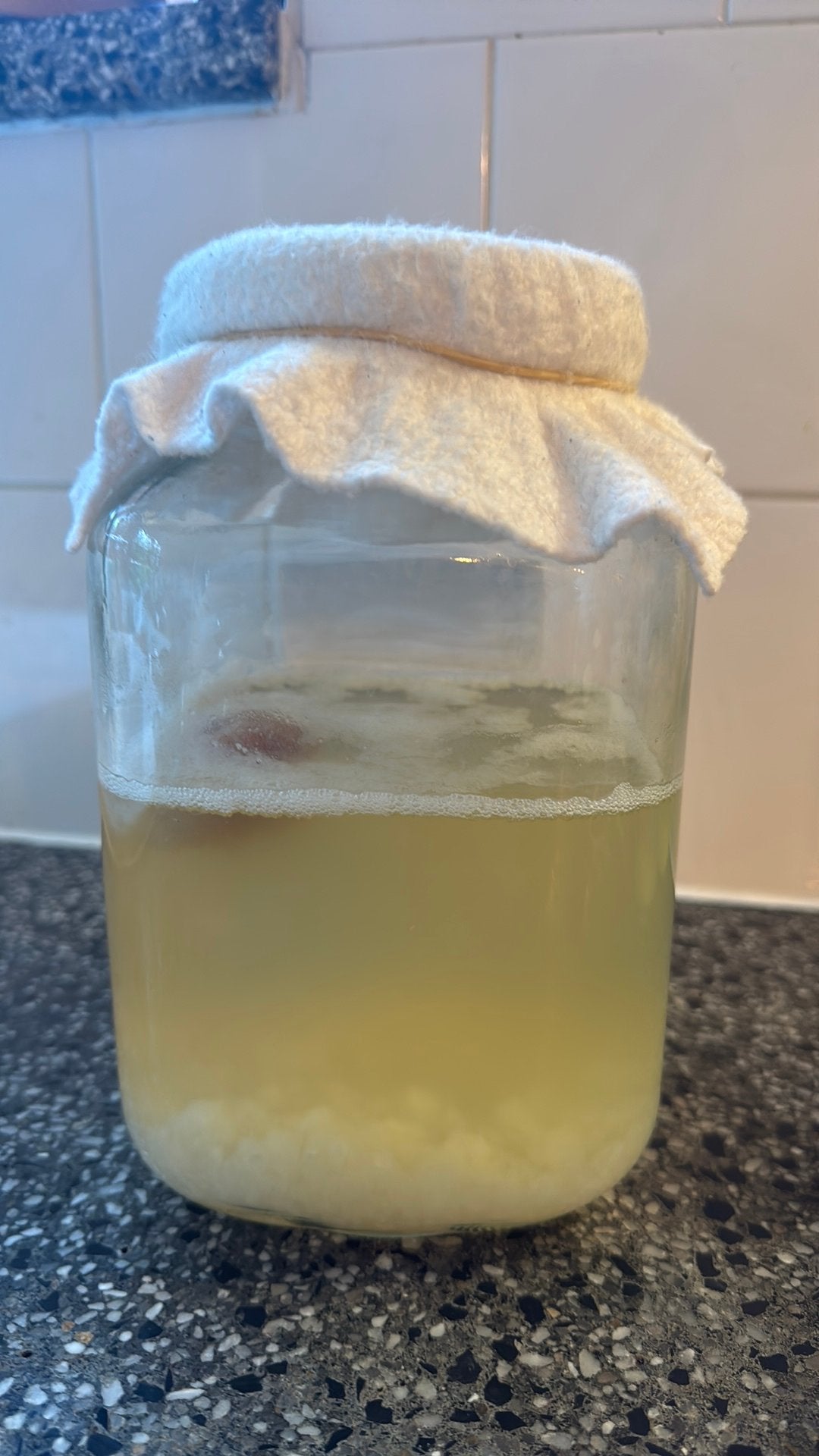 Bio water kefir korrels, Ophalen of Verzenden