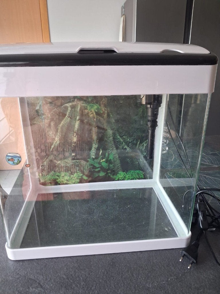 Aquarium met allerlei toebehoren, Ophalen, Verwarming, Zo goed als nieuw, Leeg aquarium