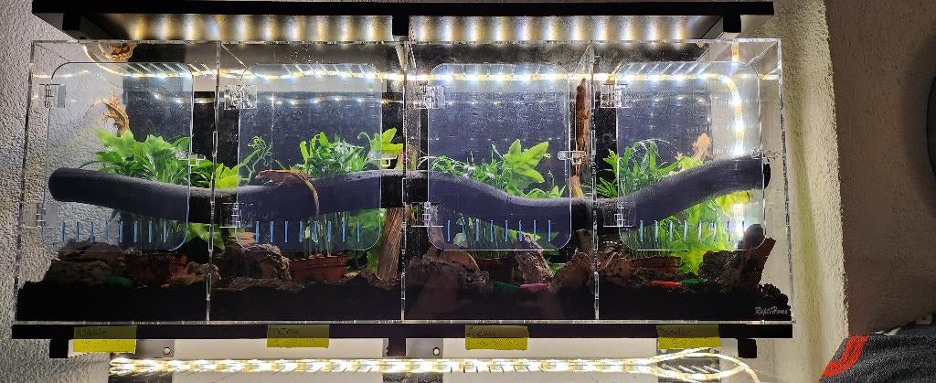 terrarium - kunststof, Dieren en Toebehoren, Reptielen en Amfibieën | Toebehoren, Ophalen, Gebruikt, Terrarium of Paludarium