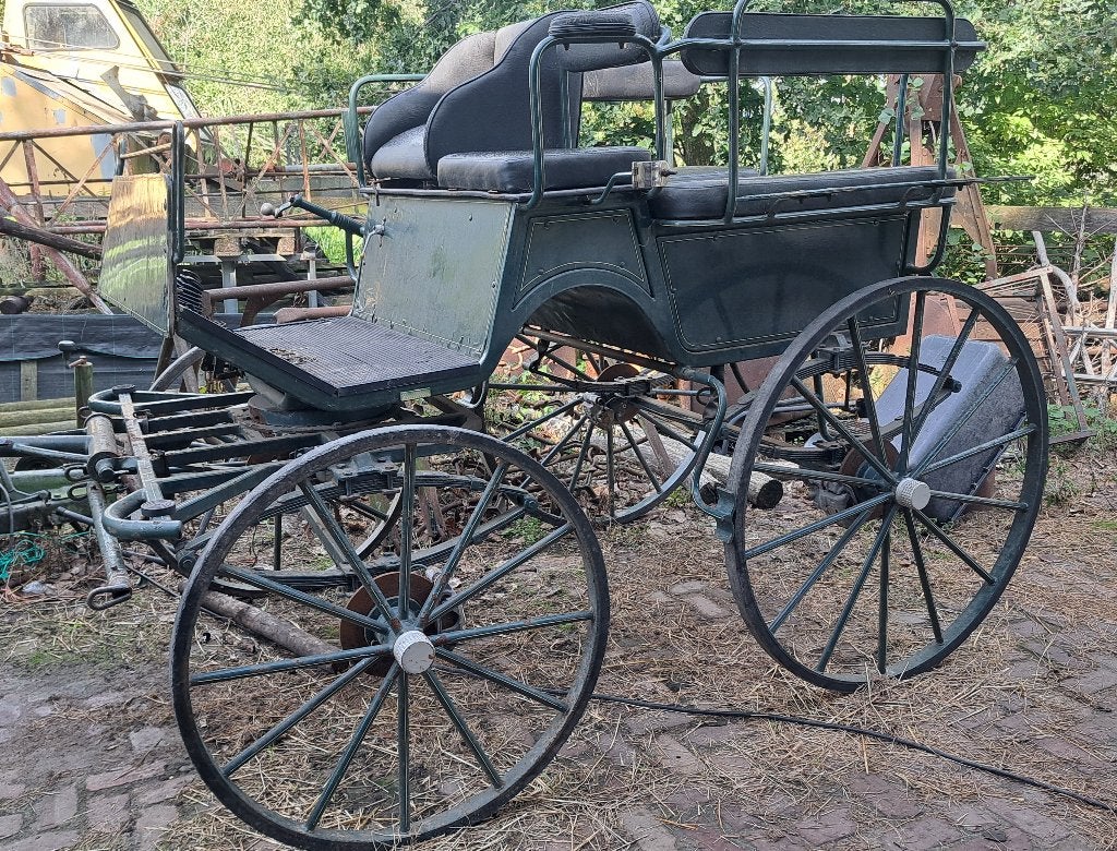 Wagonette paard, Gebruikt, Wagonette, Paard