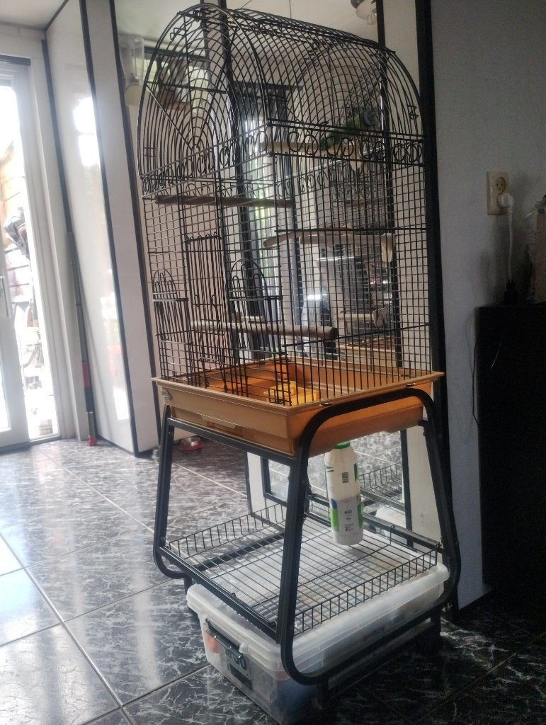 papegaaienkooi, groot. H155 incl standaard-B55-D 42cm, Dieren en Toebehoren, Ophalen, Zo goed als nieuw, Metaal, Vogelkooi