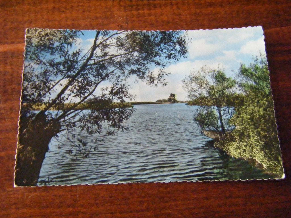 W40 - Biesbosch - Steurgat - Mooi/Oud, Ophalen of Verzenden, 1940 tot 1960, Noord-Brabant