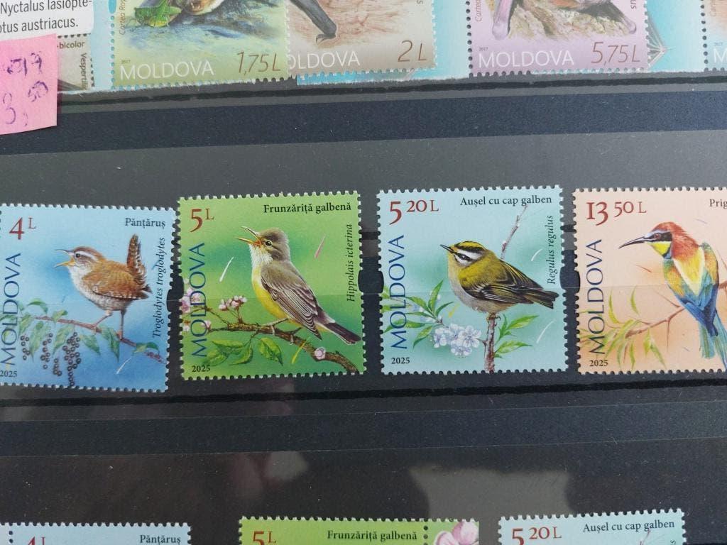 Moldavie     2025  vogels, Verzenden, Postfris, Dier of Natuur