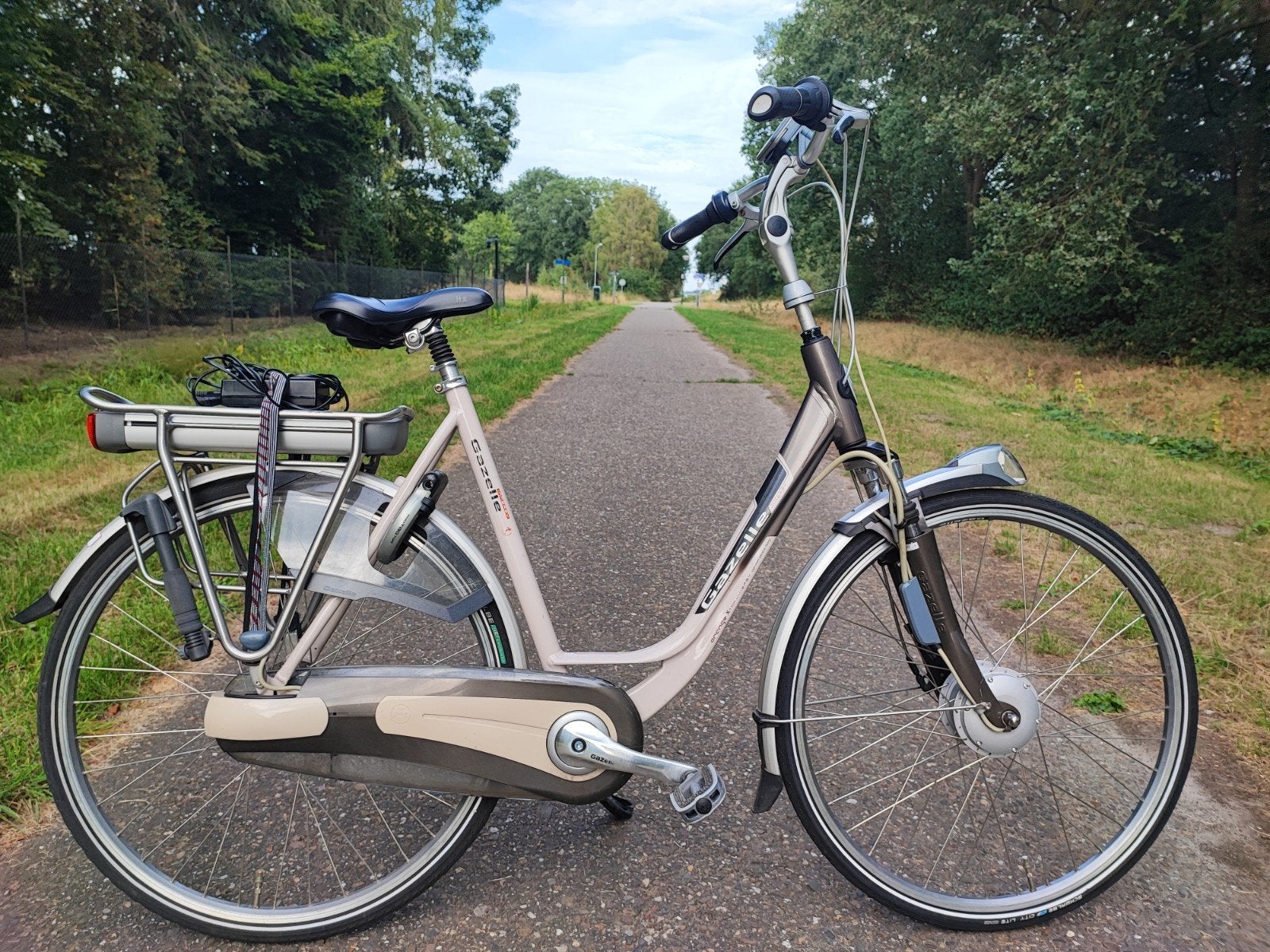 gazelle elektrische fiets - vaste prijs €250, Fietsen en Brommers, 55 tot 59 cm, Ophalen, Zo goed als nieuw, Gazelle