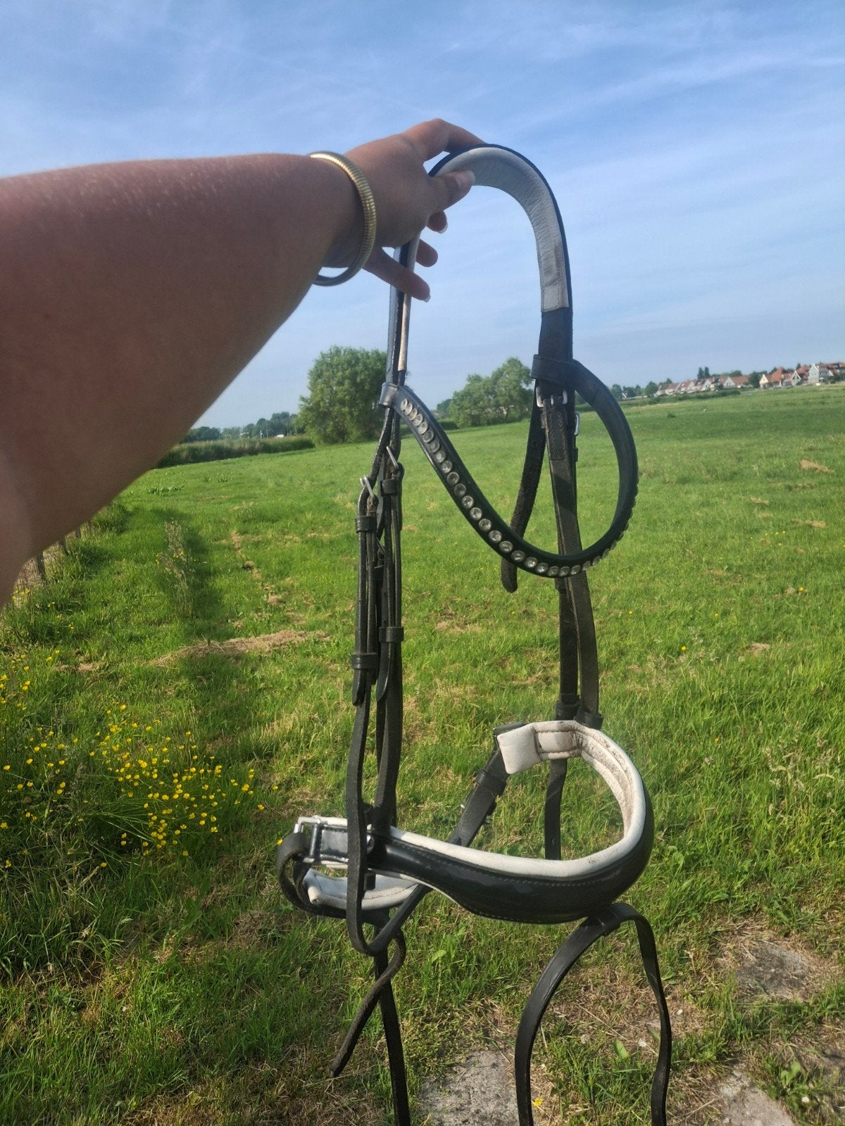 Hoofdstel maat full, Ophalen, Gebruikt, Recreatie