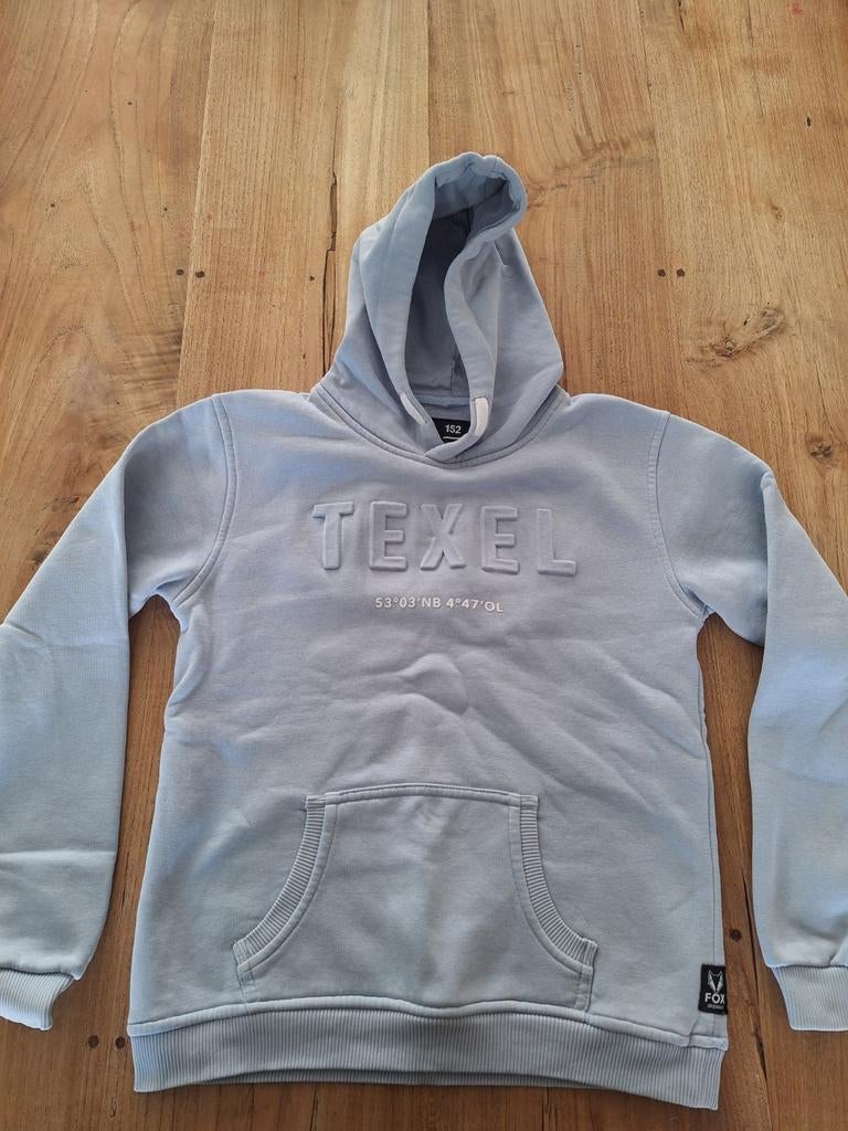 Lichtblauwe Texel Hoodie - Maat 152, Kinderen en Baby's, Kinderkleding | Maat 152, Gebruikt, Jongen of Meisje, Trui of Vest, Ophalen of Verzenden