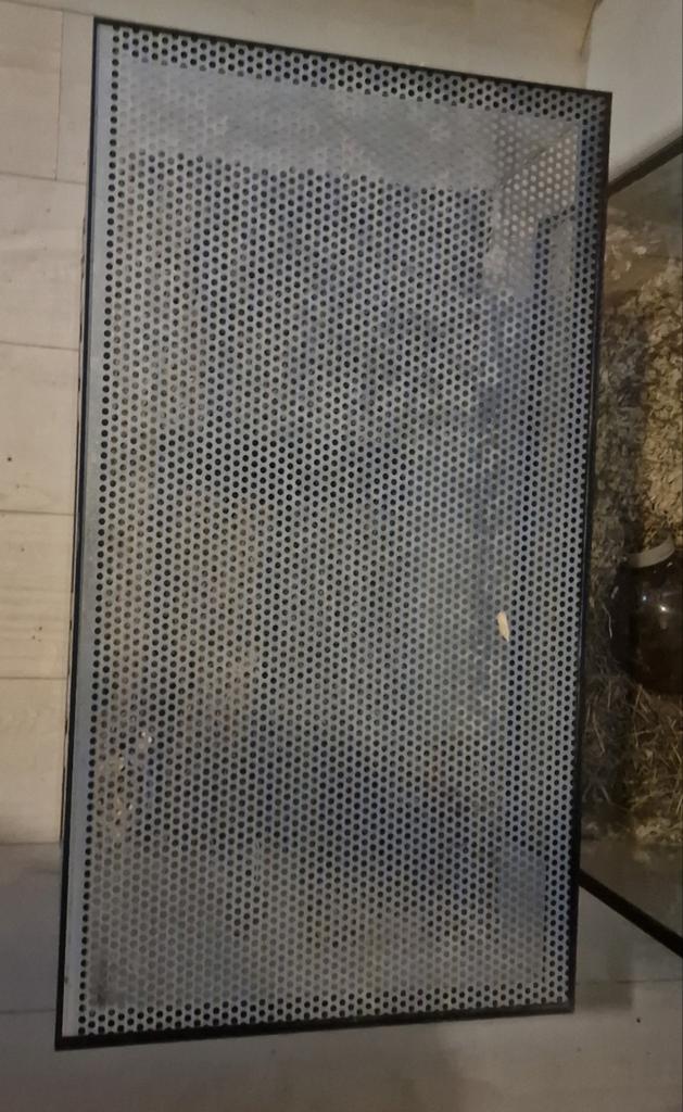 Terrarium/glazen hamster kooi e.v.t met hamster en spullen, Kooi, Minder dan 75 cm, Zo goed als nieuw, Hamster