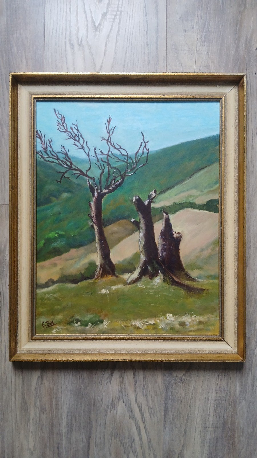 Schilderij # De Vallei, Ophalen of Verzenden