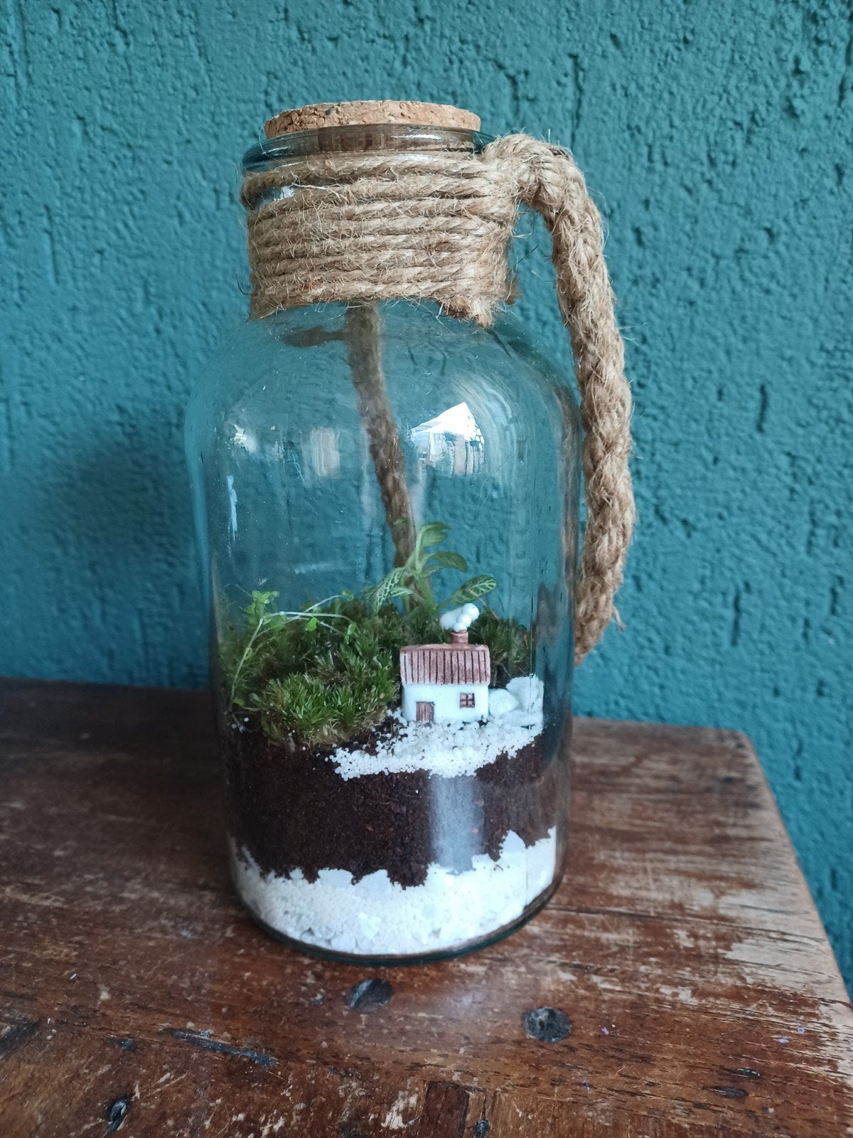 Terrarium met springstaartjes, Ophalen