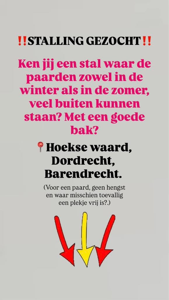 ‼️‼️Stalling gezocht‼️‼️, Dieren en Toebehoren, Stalling en Weidegang
