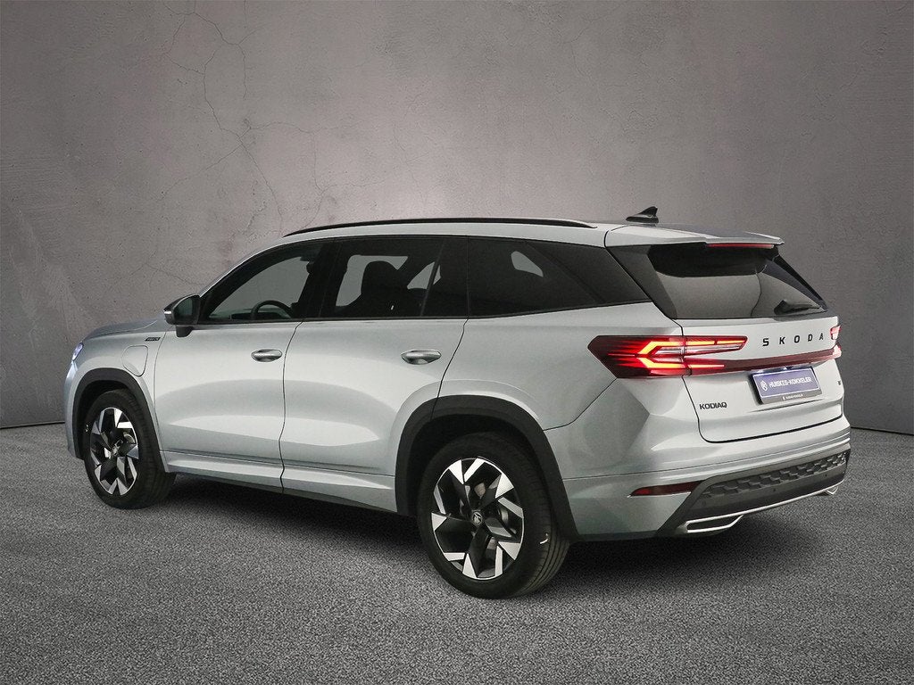 Skoda Kodiaq, Auto's, Skoda, Euro 6, 4 cilinders, 250 km/l, 135 min