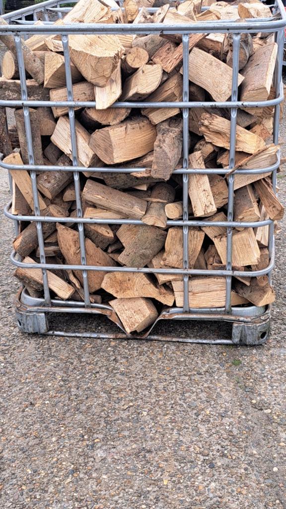 Goed gedroogd Beukenhout - 100 euro per container, Minder dan 3 m³, Ophalen of Verzenden, Beukenhout, Blokken