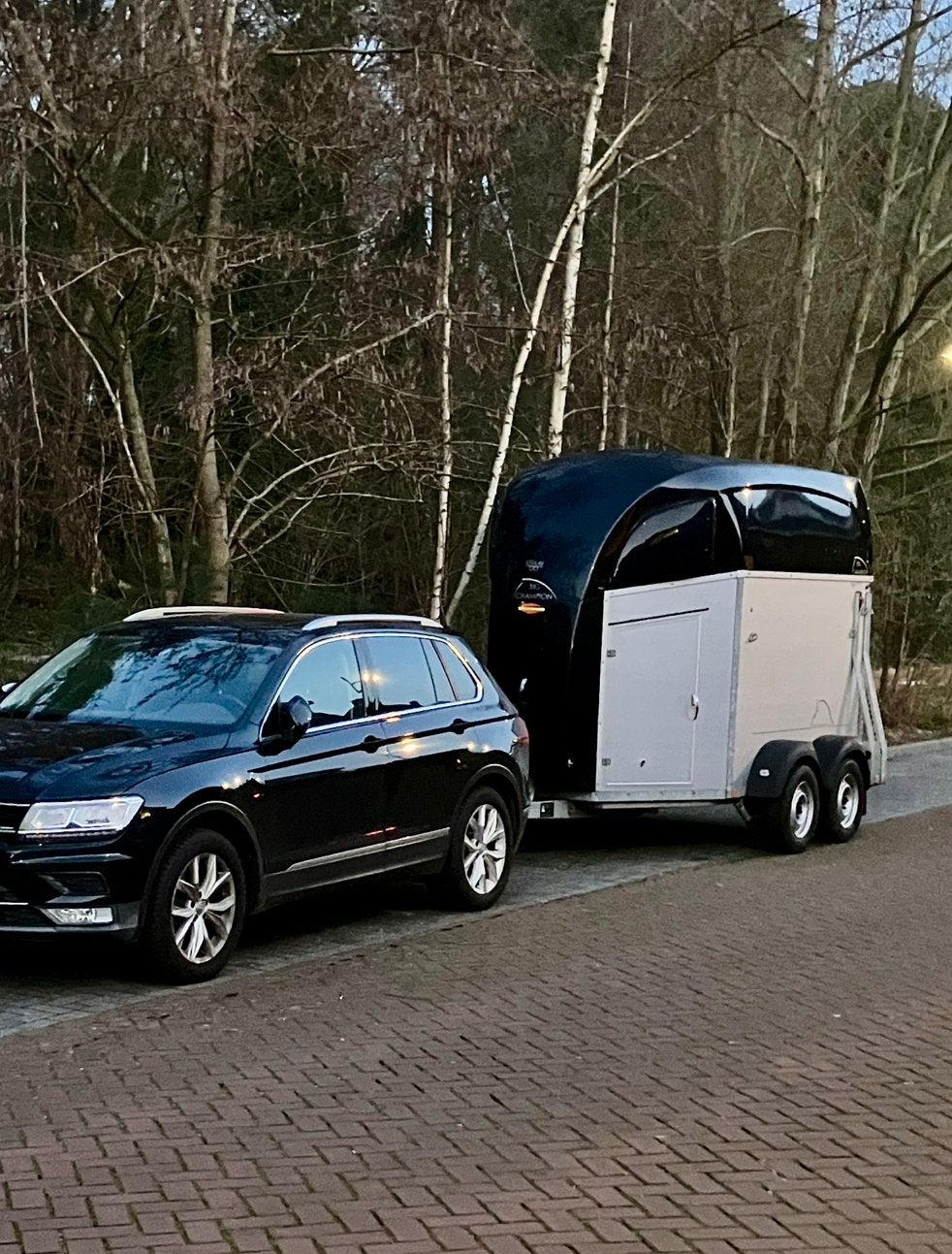 Bockmann Big Champion 2 paards Aluminium paardentrailer, Dieren en Toebehoren, Ophalen, Gebruikt, Aluminium, 2-paards trailer