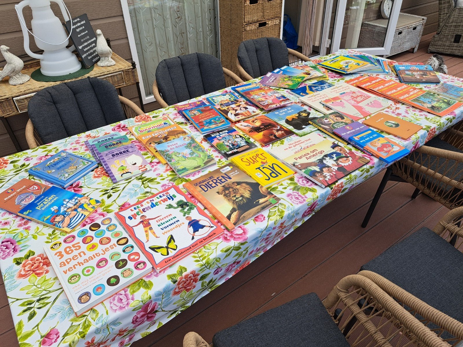 Leuke lees en voorlees boeken, puzzels en gezelschapsspellen, Ophalen, Zo goed als nieuw, Fictie algemeen