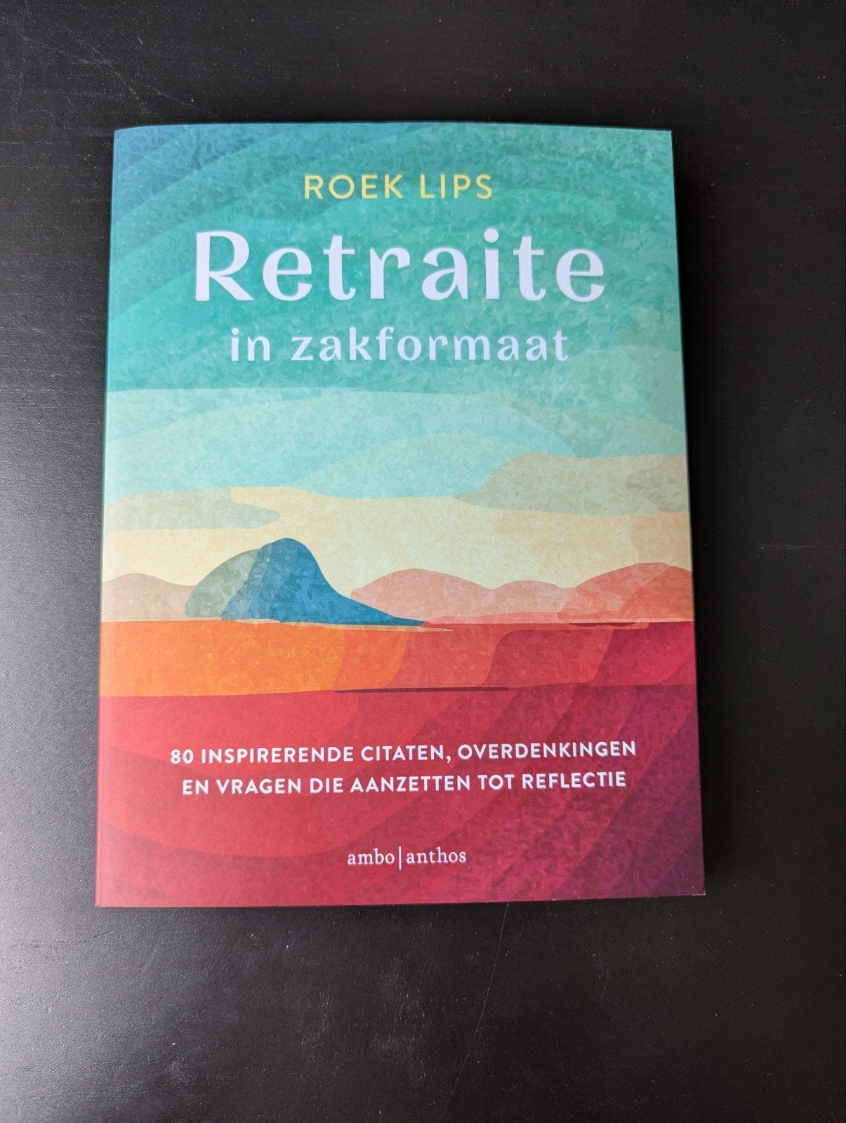 Roek Lips - Retraite in zakformaat, Boeken, Ophalen of Verzenden, Zo goed als nieuw, Roek Lips