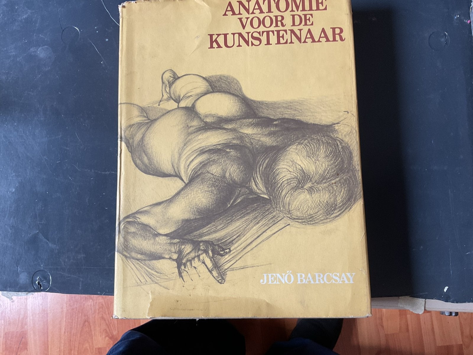 Anatomie voor de Kunstenaar - Jenö Barcsay, Ophalen of Verzenden, Gelezen, Schilder- en Tekenkunst