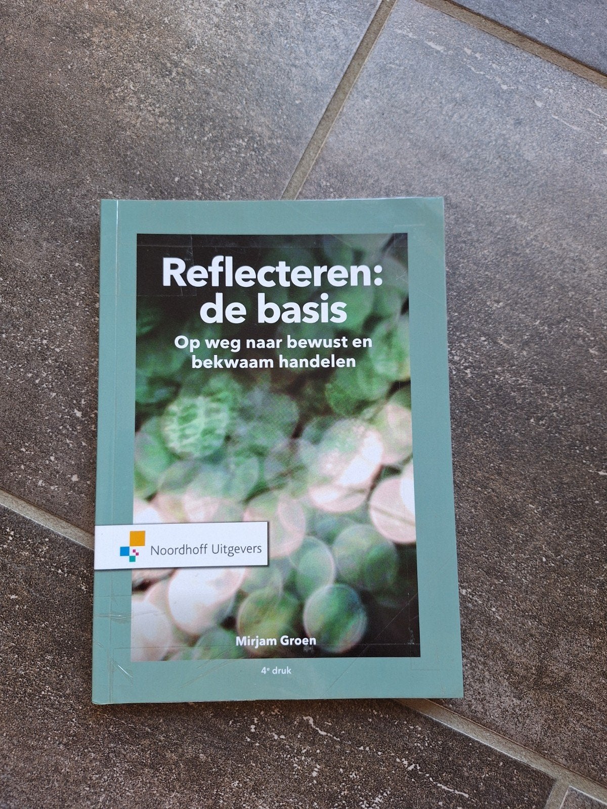 Reflecteren: de basis - Mirjam Groen, Ophalen of Verzenden, Zo goed als nieuw, HBO, Mirjam Groen
