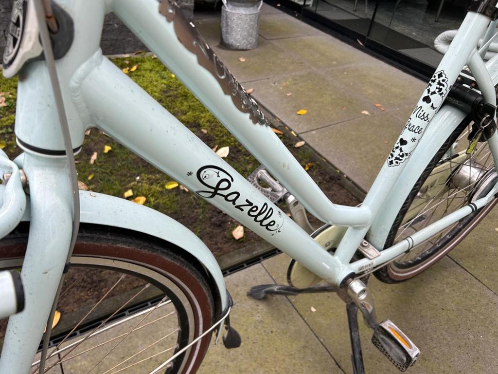 Gazelle Miss Grace transportfiets - Lichtblauw, Fietsen en Brommers, Fietsen | Dames | Damesfietsen, Ophalen, Gebruikt, Versnellingen
