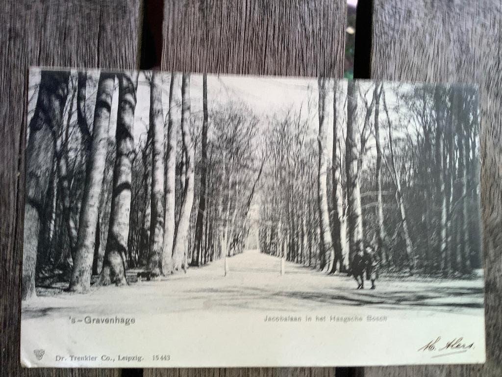 Den Haag 1904 Jacobslaan in het Haagsche Bos, Ophalen of Verzenden, Voor 1920, Gelopen, Zuid-Holland