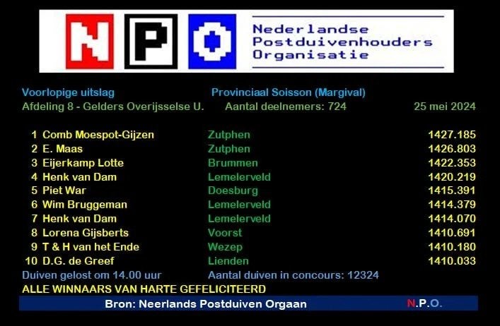 Postduif Direct Comb. Moespot-Gijzen., Meerdere dieren, Postduif