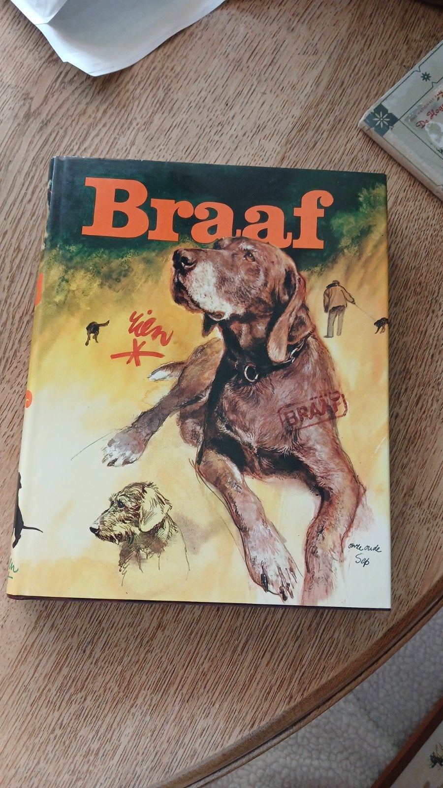 Braaf - Een prachtig geïllustreerd hondenboek, Ophalen of Verzenden, Zo goed als nieuw, Honden, Rien Poortvliet
