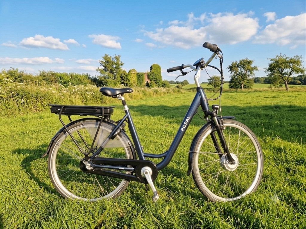 ZGAN goed onderhouden elektrische fiets ebike, Overige merken, Ophalen of Verzenden, Zo goed als nieuw, 51 tot 55 cm