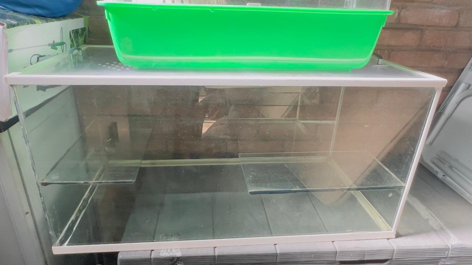 Glazen hamster/gerbil kooi met diverse attributen., Kooi, Minder dan 75 cm, Hamster, Ophalen