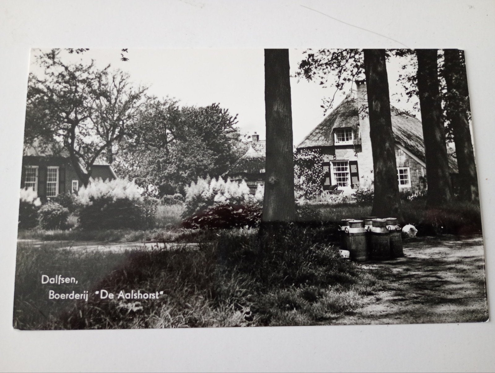 Dalfsen Boerderij De Aalshorst, Ophalen of Verzenden, 1960 tot 1980, Ongelopen, Overijssel