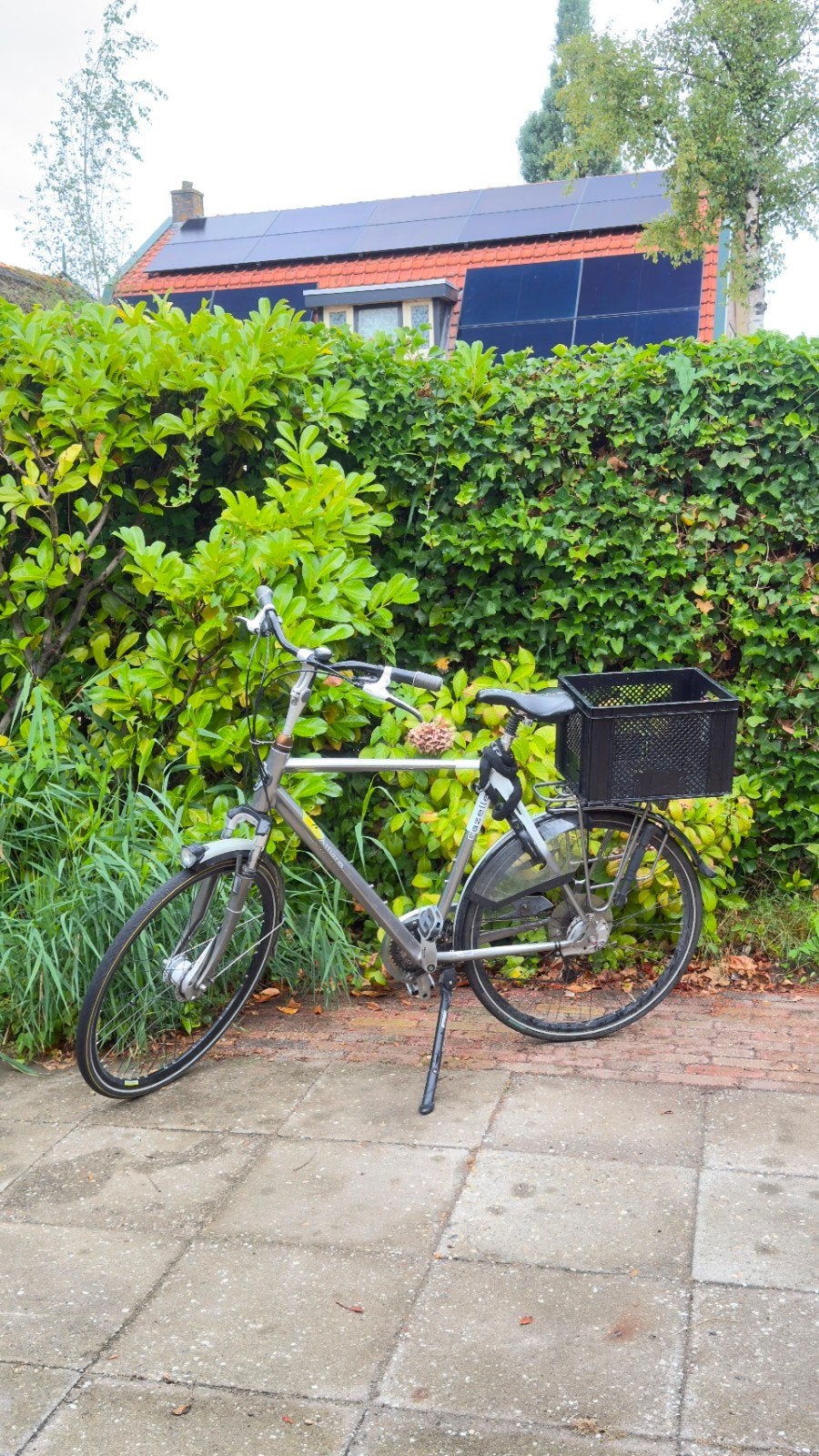 Gazelle Allure Limited Edition L/XL, Fietsen en Brommers, Fietsen | Dames | Damesfietsen, Velgrem, Versnellingen, Ophalen of Verzenden