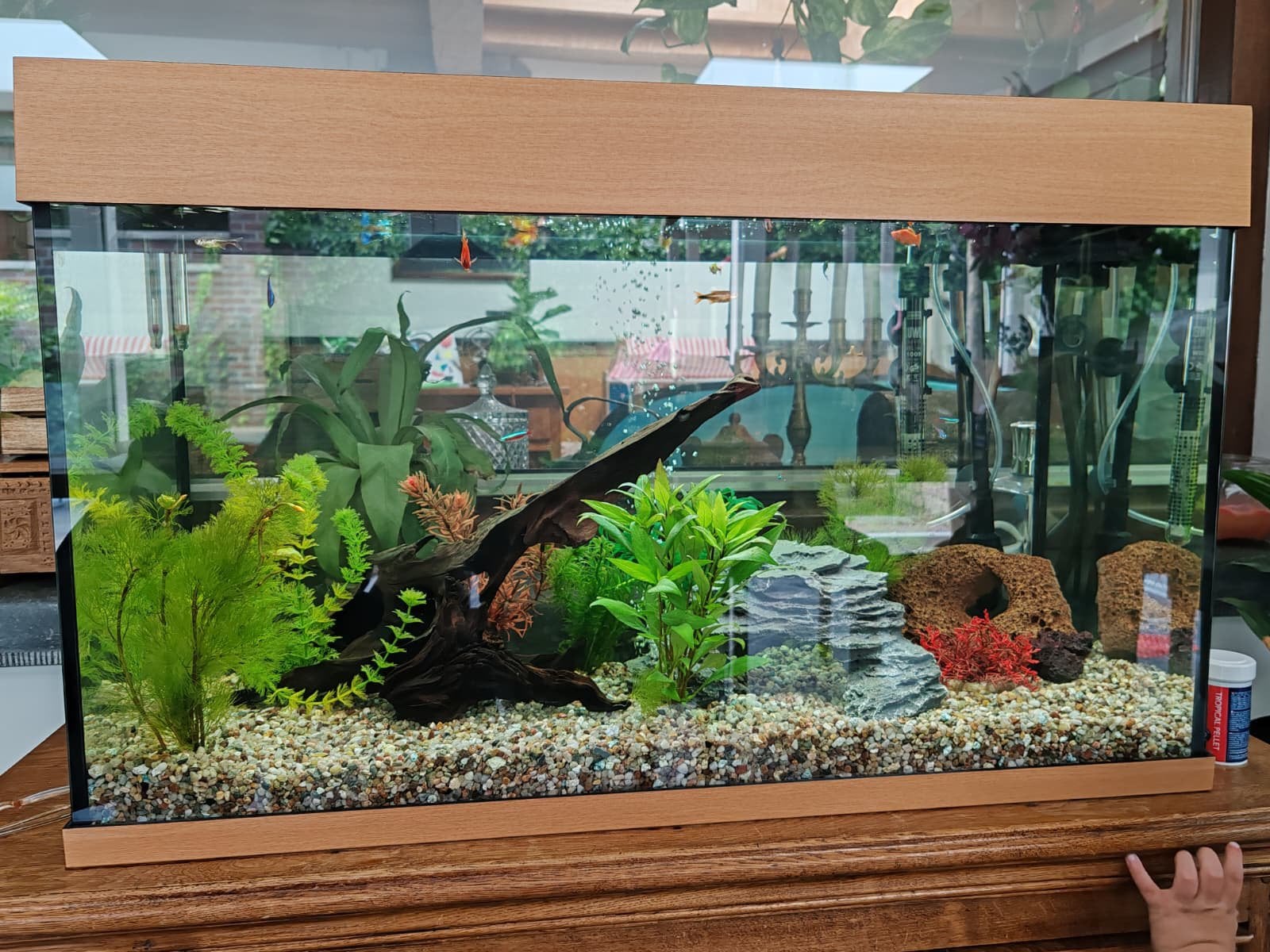 Jewel rio 125 liter Aquarium + vissen + toebehoren, Dieren en Toebehoren, Ophalen, Inclusief vissen, Juwel, Gevuld zoetwateraquarium