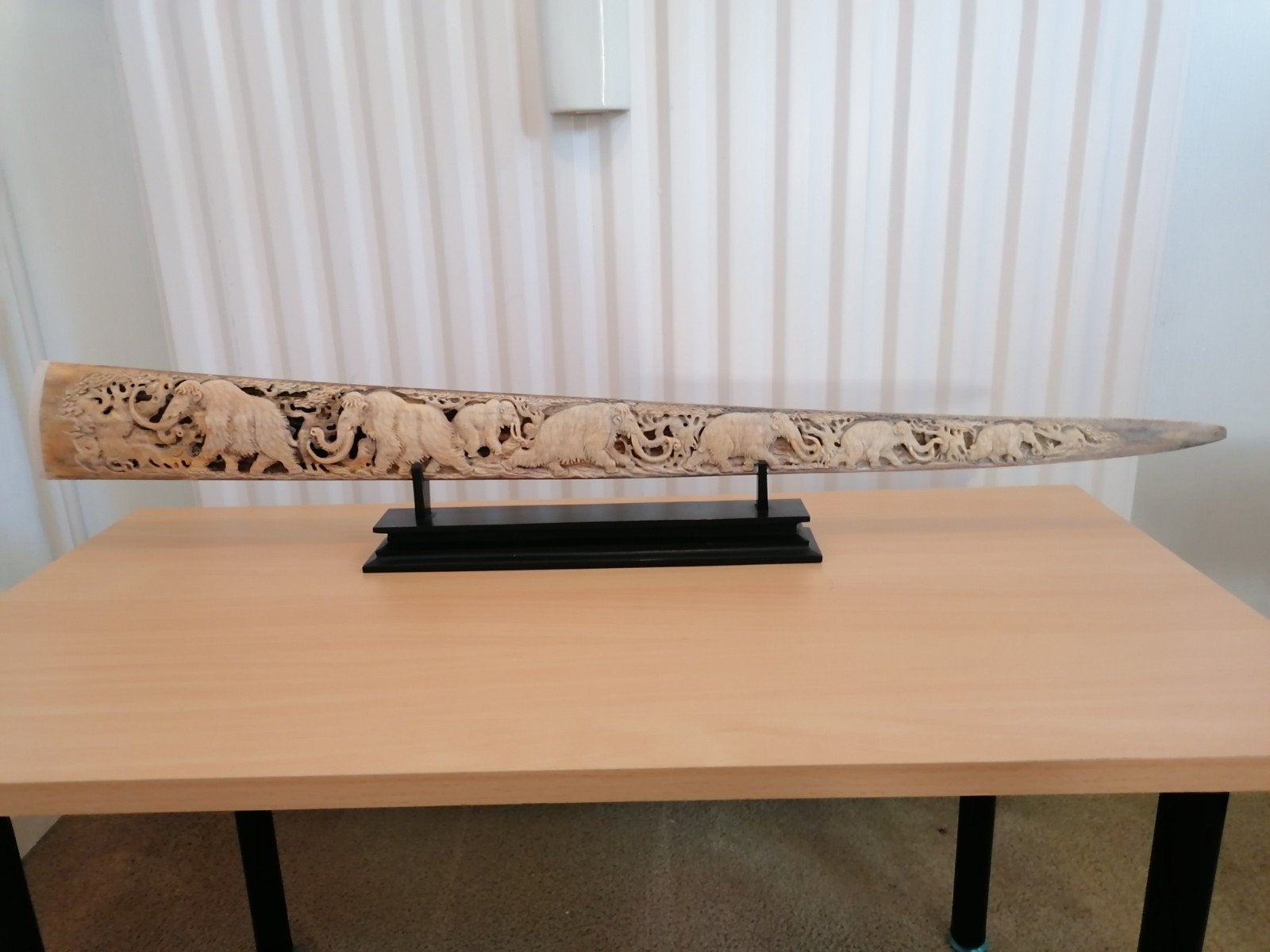 Gegraveerde zwaardvis rostrum., Ophalen